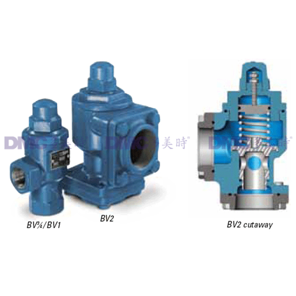 美国百马Blackmer BV 34,1,1-14,1-12,2 旁通阀